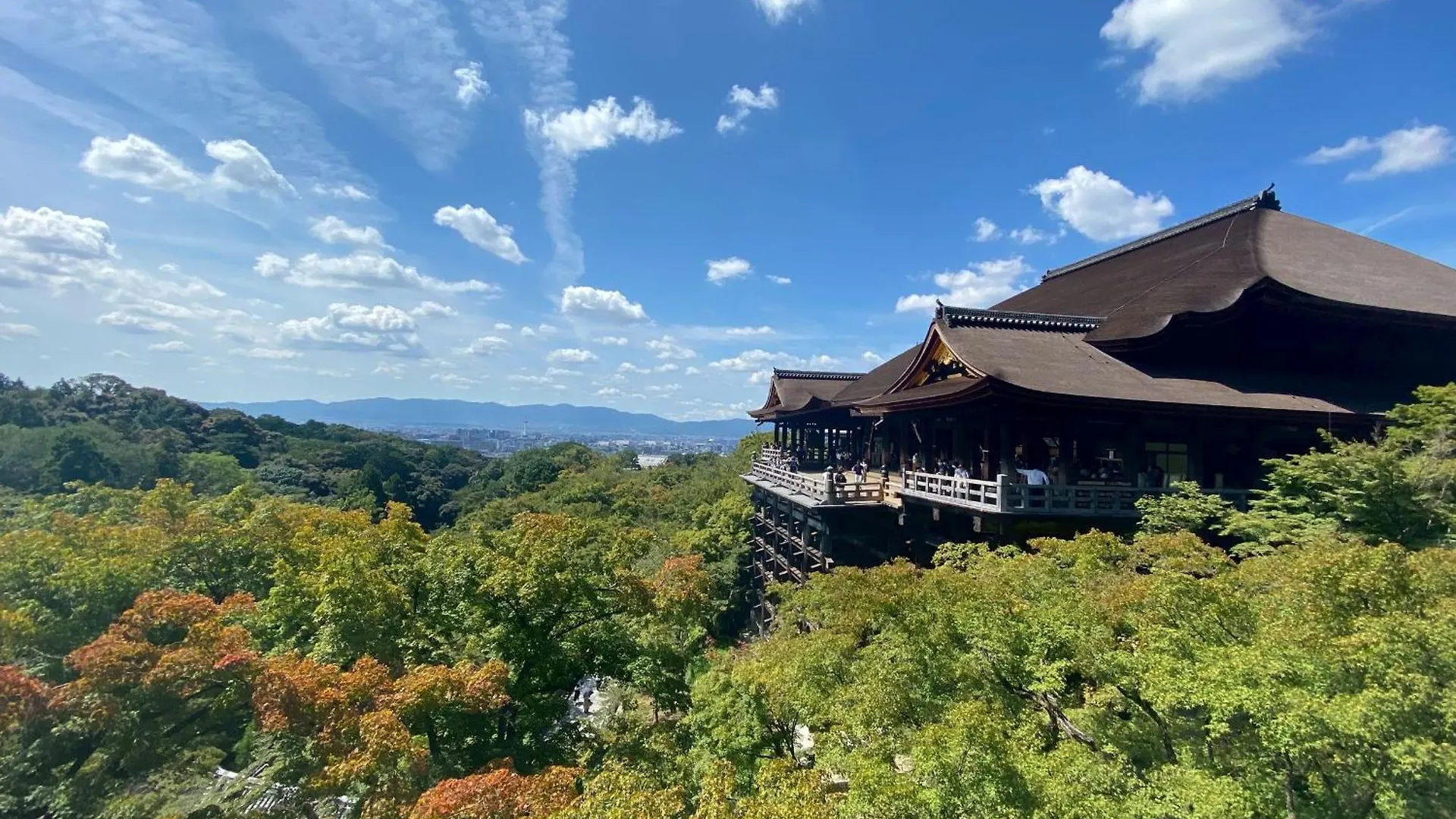 603Gblhouse!黒門市場すぐ,目の前!道頓堀難波駅徒歩6分!大阪観光アクセス便利!